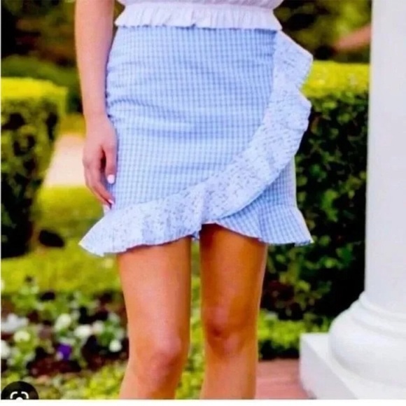 j. marie Dresses & Skirts - J. Marie Gingham Ruffle Embroidered Mini Skirt Light Blue White Small